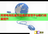 跨境电商批量开店高效管理平台助力销量提升