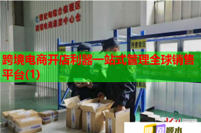 跨境电商开店利器一站式管理全球销售平台(1)
