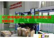 冷门跨境电商平台揭秘 低竞争高利润宝藏店铺