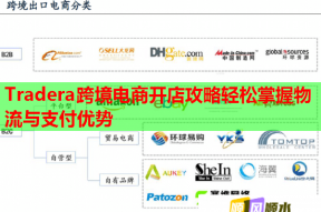 Tradera跨境电商开店攻略轻松掌握物流与支付优势