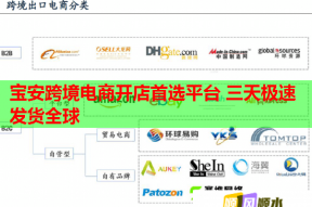 宝安跨境电商开店首选平台 三天极速发货全球