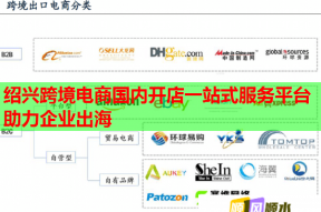 绍兴跨境电商国内开店一站式服务平台助力企业出海