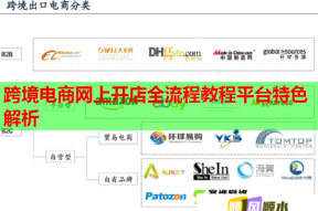 跨境电商网上开店全流程教程平台特色解析