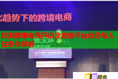 欧洲跨境电商开店全攻略平台优势与入驻条件详解