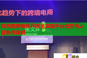 欧洲跨境电商开店全攻略平台优势与入驻条件详解