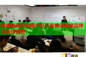 跨境电商平台哪个好开店快速搭建品牌与全球销售