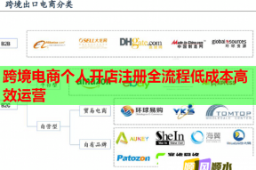 跨境电商个人开店注册全流程低成本高效运营