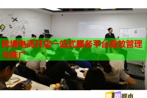 跨境电商开店一站式服务平台高效管理与推广