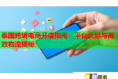 泰国跨境电商开店指南：平台优势与高效物流揭秘