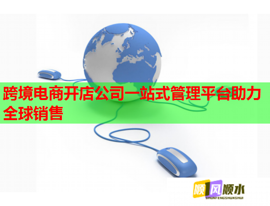 跨境电商开店公司一站式管理平台助力全球销售  第1张