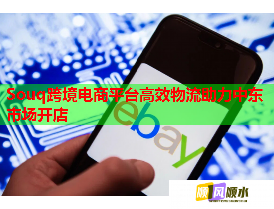 Souq跨境电商平台高效物流助力中东市场开店  第2张
