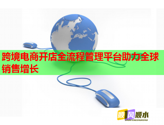 跨境电商开店全流程管理平台助力全球销售增长  第3张