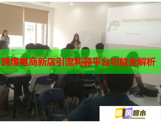 跨境电商新店引流利器平台功能全解析  第2张