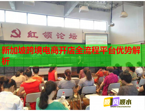 新加坡跨境电商开店全流程平台优势解析  第2张