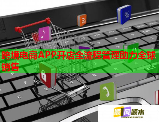 跨境电商APP开店全流程管理助力全球销售  第1张