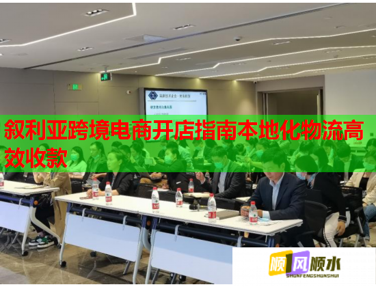 叙利亚跨境电商开店指南本地化物流高效收款  第1张