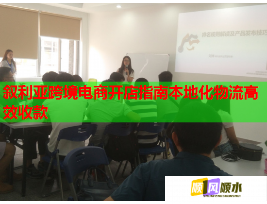 叙利亚跨境电商开店指南本地化物流高效收款  第2张