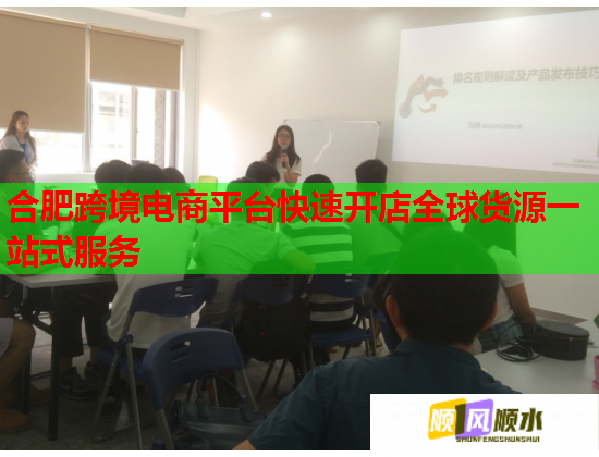 合肥跨境电商平台快速开店全球货源一站式服务  第1张