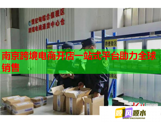 南京跨境电商开店一站式平台助力全球销售  第3张