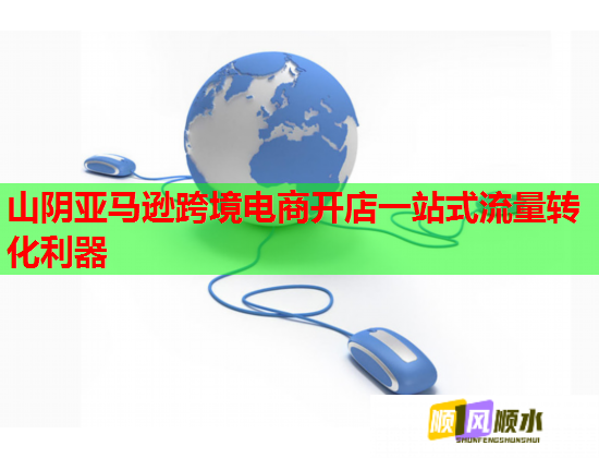 山阴亚马逊跨境电商开店一站式流量转化利器  第1张