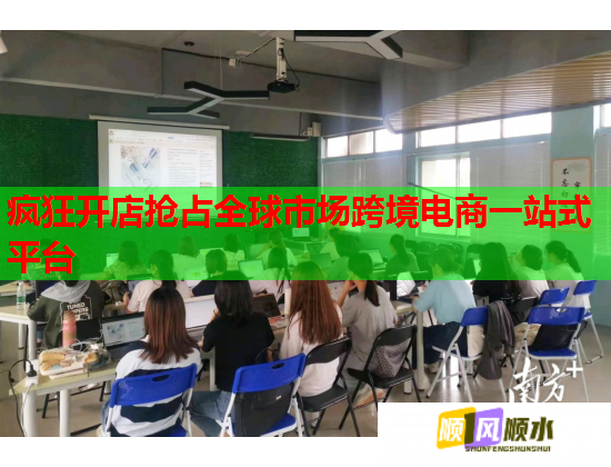 疯狂开店抢占全球市场跨境电商一站式平台  第1张