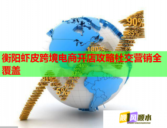 衡阳虾皮跨境电商开店攻略社交营销全覆盖  第1张