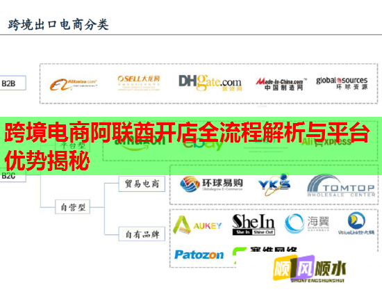 跨境电商阿联酋开店全流程解析与平台优势揭秘  第1张