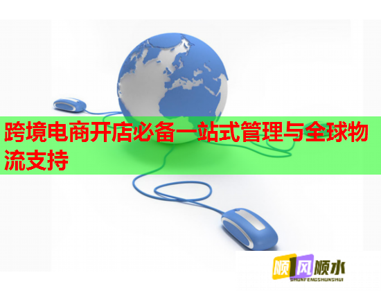 跨境电商开店必备一站式管理与全球物流支持  第2张