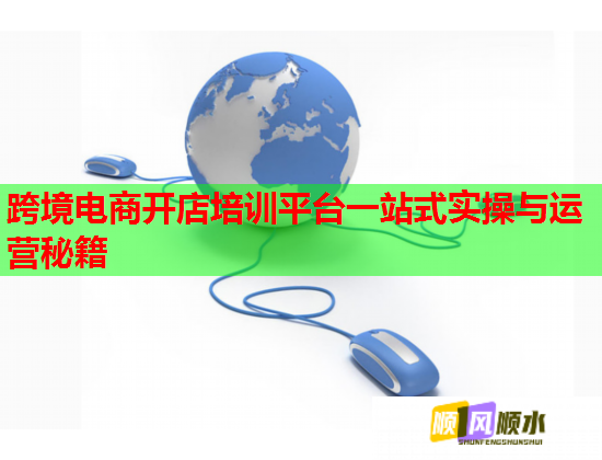 跨境电商开店培训平台一站式实操与运营秘籍  第2张