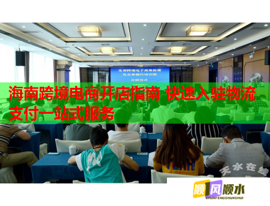 海南跨境电商开店指南 快速入驻物流支付一站式服务  第2张