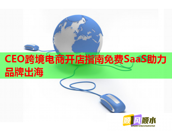 CEO跨境电商开店指南免费SaaS助力品牌出海  第2张