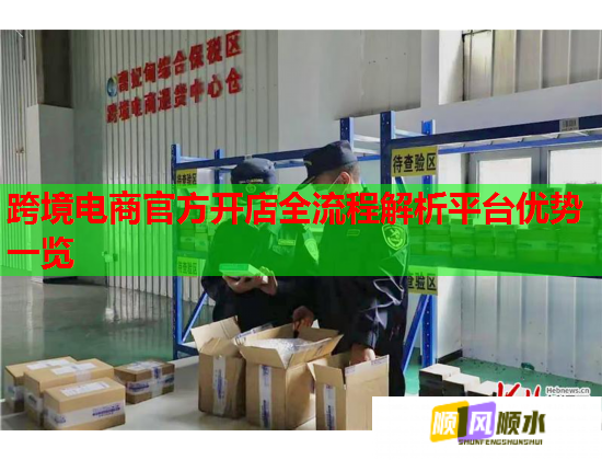 跨境电商官方开店全流程解析平台优势一览  第1张