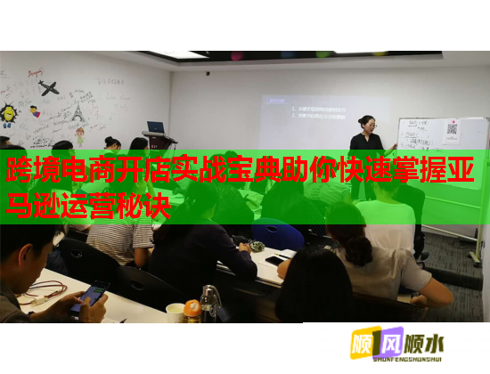 跨境电商开店实战宝典助你快速掌握亚马逊运营秘诀  第1张
