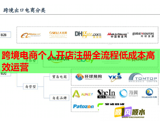 跨境电商个人开店注册全流程低成本高效运营  第1张