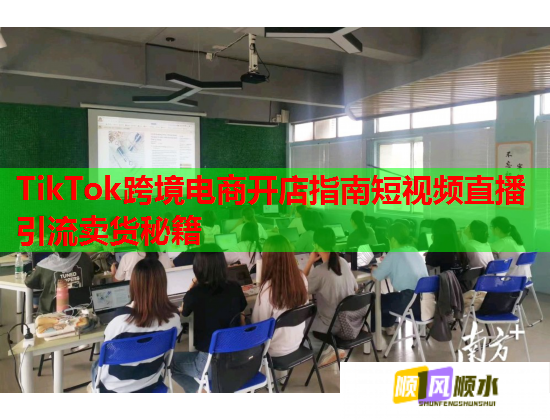 TikTok跨境电商开店指南短视频直播引流卖货秘籍  第1张