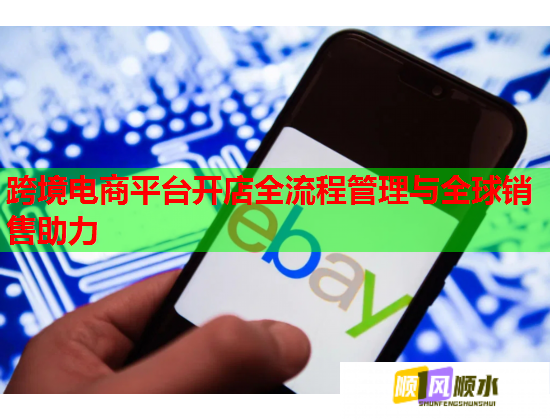 跨境电商平台开店全流程管理与全球销售助力  第2张