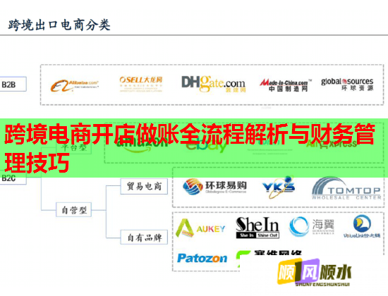 跨境电商开店做账全流程解析与财务管理技巧  第2张