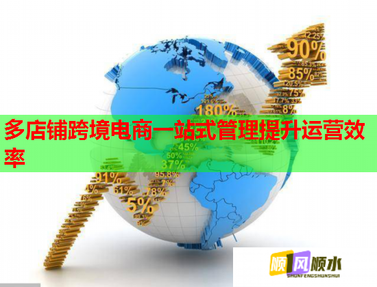 多店铺跨境电商一站式管理提升运营效率  第3张