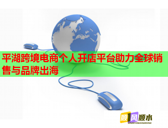 平湖跨境电商个人开店平台助力全球销售与品牌出海  第1张