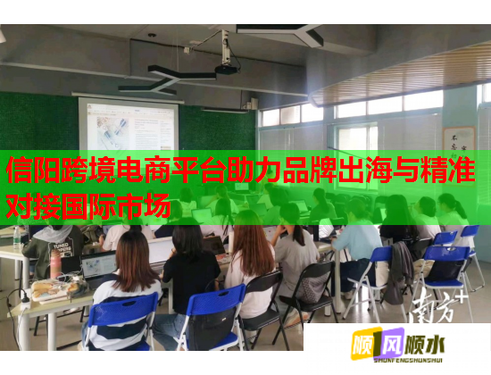 信阳跨境电商平台助力品牌出海与精准对接国际市场 第2张 信阳跨境电商平台助力品牌出海与精准对接国际市场 第2张